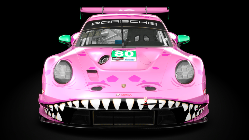 Porsche 992 GT3 R, skin #80 Roxy