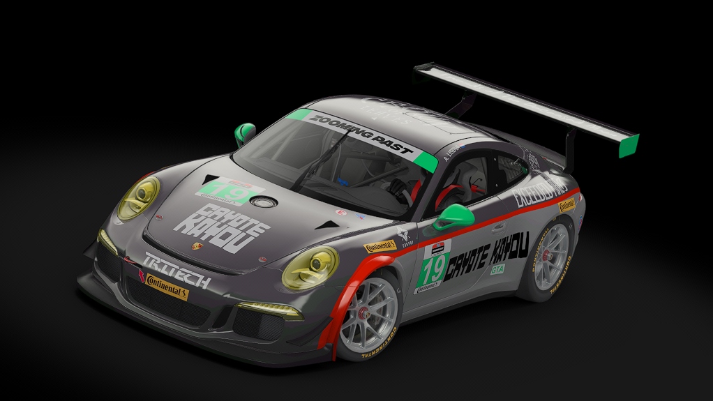 Porsche 911 GT America, skin ZAP_USCC_LSM_19_Lisova