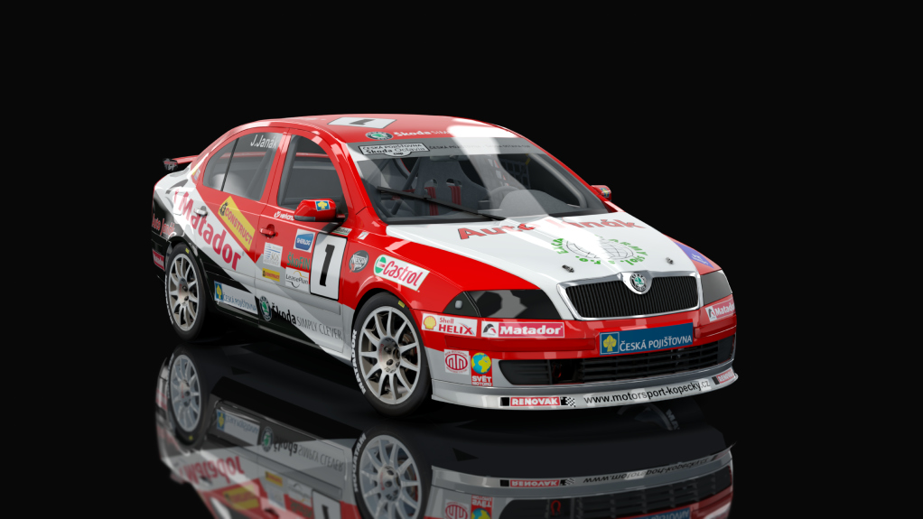 Skoda Octavia Cup 2008, skin janak_1